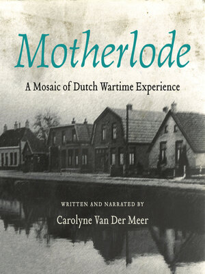 cover image of Motherlode